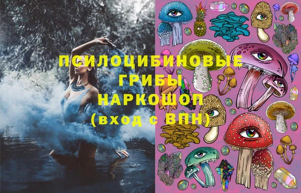 дурь Алексеевка