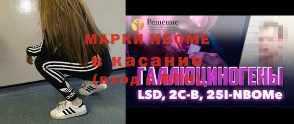 шишки Аркадак