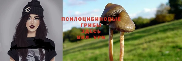 шишки Аркадак