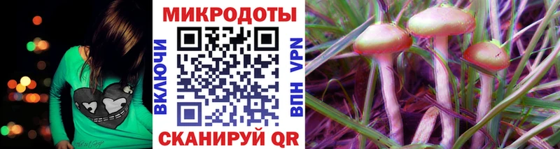 Галлюциногенные грибы Psilocybe Петрозаводск